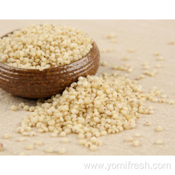 Millet Sorghum Rice